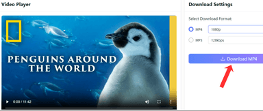 YouTube Downloader Not Working? The Ultimate Troubleshooting Guide